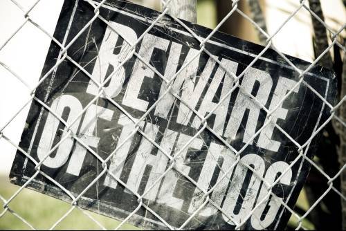 Beware of the Dog