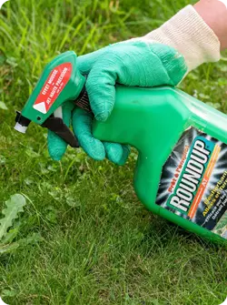 Weed Killer Lawsuit