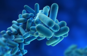 3D illustration of rod-shaped bacteria clustered together against a blue background.